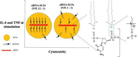 Effect of the amount of cationic lipid used to complex siRNA on the cytotoxicity and proinflammatory activity of siRNA-solid lipid nanoparticles