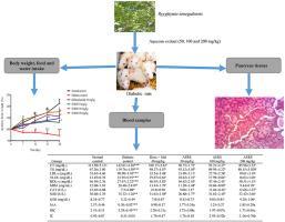 Diabetes mellitus: Preventive and curative therapies with aqueous extract of Rytigynia senegalensis Blume (Rubiaceae) in Wistar rats