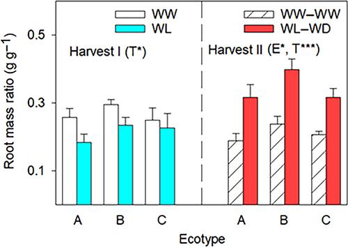 Response to water-deficit following waterlogging varies among ecotypes of subterranean clover (Trifolium subterraneum ssp. yanninicum), a waterlogging-tolerant annual pasture legume