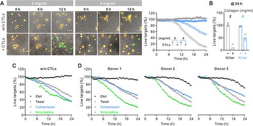 A high-throughput 3D kinetic killing assay