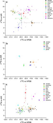 Changing food webs before and during the Last Glacial Maximum based on stable isotopes of animal bone collagen from Lower Austria