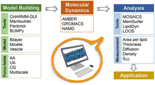 Application of computational approaches in biomembranes: From structure to function