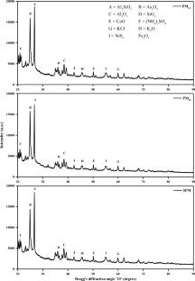 Identifying Size-Segregated Particulate Matter (PM2.5, PM10 and SPM) Sources in an Industrial Town of India