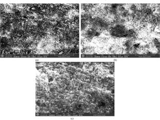 The potential of sludge from wastewater treatment plants to improve the mechanical properties of bricks