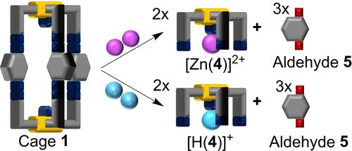 A Constitutionally Dynamic Cage Acts as a Convertible and Adaptable Information Manager in Supramolecular Logic