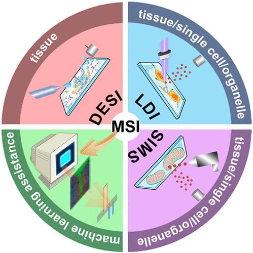 Next Generation of Mass Spectrometry Imaging: from Micrometer to Subcellular Resolution