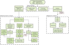 Functional response of microbial communities in lab-controlled oil-contaminated marine sediment†