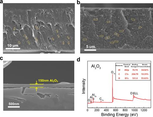 Surface-coated polymer nanocomposites containing z-aligned high-k nanowires as high-performance dielectrics at elevated temperatures