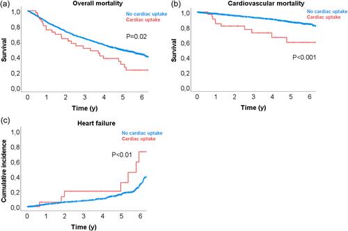 Cardiac morbidity and the cause of death in elderly patients with prostate cancer and incidental cardiac uptake on bone scintigraphy