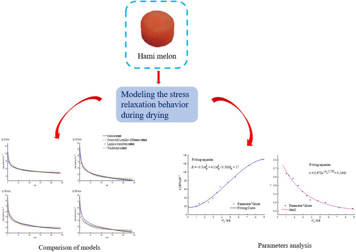 Fractional derivative modeling for characterizing stress relaxation properties of Hami melon during drying