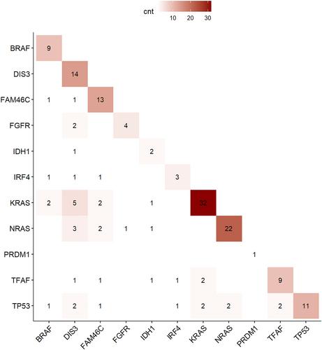 Effect of MAPK activation via mutations in NRAS, KRAS and BRAF on clinical outcome in newly diagnosed multiple myeloma