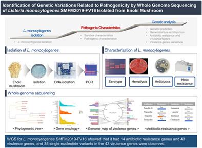 Identification of genetic variations related to pathogenicity by whole genome sequencing of Listeria monocytogenes SMFM2019-FV16 isolated from enoki mushroom