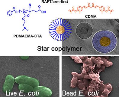 Amphiphilic star copolymers composed of curcumin core for bacterial inactivation