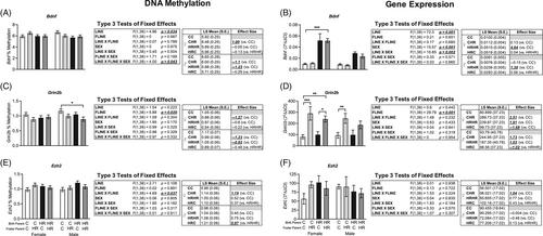 Maternal upbringing and selective breeding for voluntary exercise behavior modify patterns of DNA methylation and expression of genes in the mouse brain