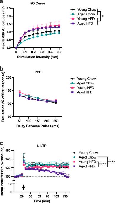 Short-term high-fat diet consumption impairs synaptic plasticity in the aged hippocampus via IL-1 signaling