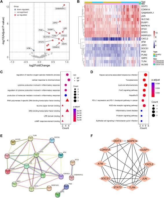 Potential diagnostic biomarkers: 6 cuproptosis- and ferroptosis-related genes linking immune infiltration in acute myocardial infarction