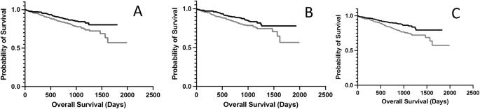 Exploiting big data survival information to unify risk-stratification related, adaptive immune receptor parameters for multiple myeloma