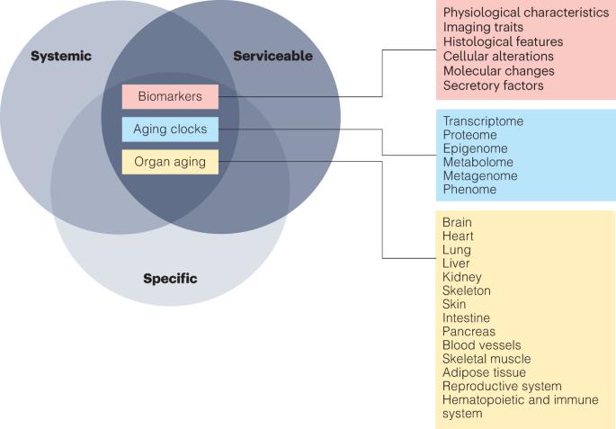 The Aging Biomarker Consortium represents a new era for aging research in China