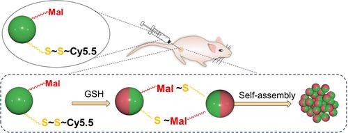 A Glutathione-Responsive Luminescence Sensor Based on Dual-Emissive Persistent Luminescent Nanoparticles for Ratiometric Tumor Imaging