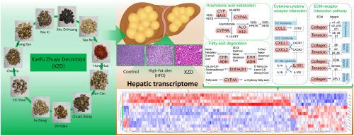 Hepatic transcriptome discloses the potential targets of Xuefu Zhuyu Decoction ameliorating non-alcoholic fatty liver disease induced by high-fat diet