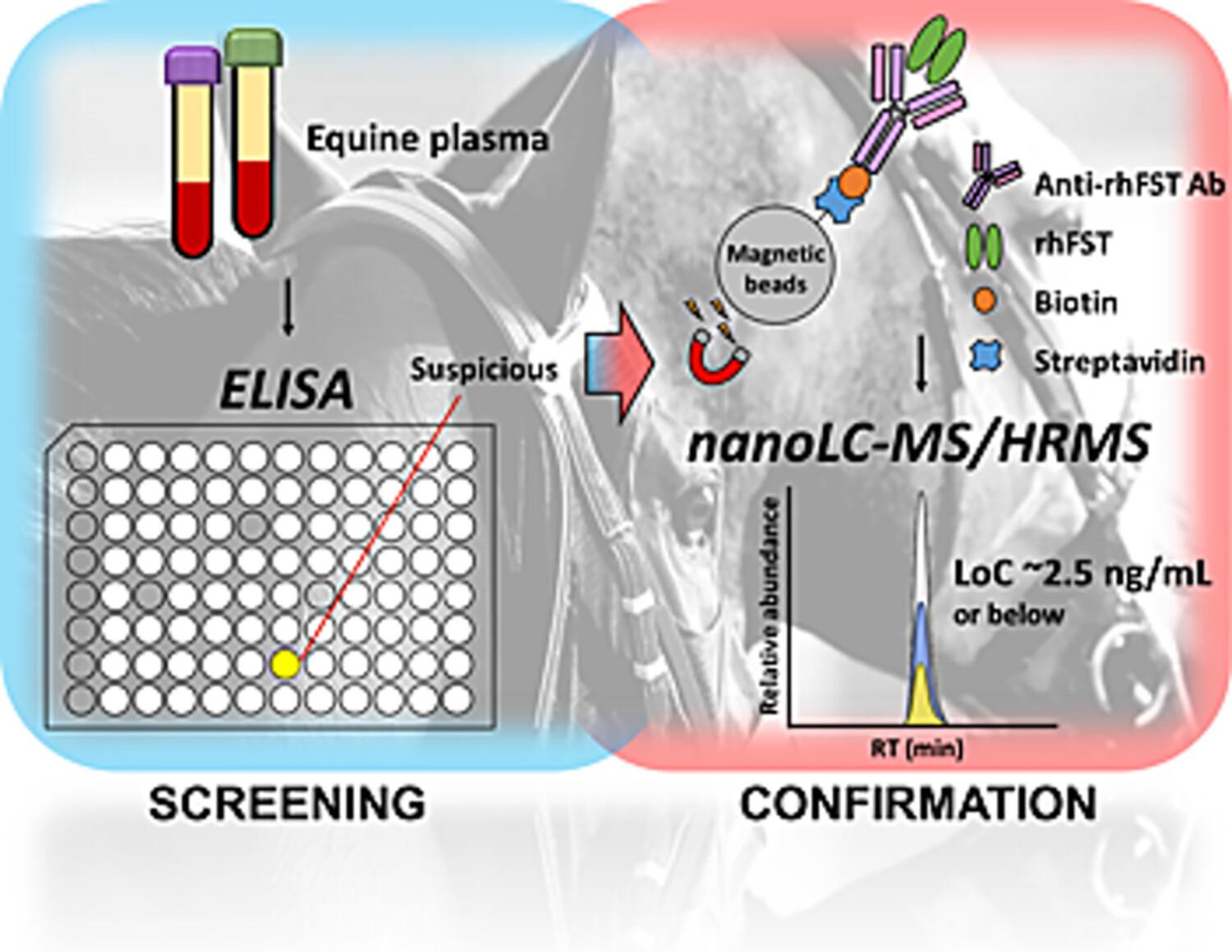 Screening and confirmation of recombinant human follistatin in equine plasma for doping control purposes