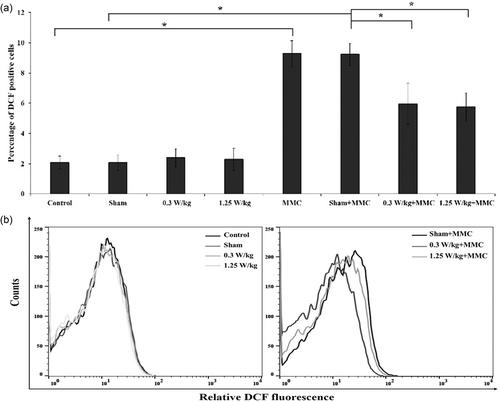 The effect of exposure to radiofrequency LTE signal and coexposure to mitomycin-C in Chinese hamster lung fibroblast V79 cells