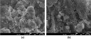 Non-Isothermal Kinetic Decomposition Characteristic of Gracilaria corticata Biomass and Its Biochar Utilization for Efficient Heavy Metals Remediation