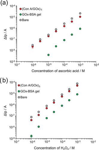 Highly sensitive glucose electrochemical sensor using sugar-lectin interactions