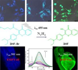 A ratiometric fluorescent probe for hydrazine imaging in biological and environmental samples