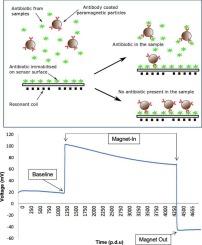 Rapid detection of tetracycline residues at clinically relevant levels via a novel, inexpensive and analytically-sensitive magneto-immunoassay – A feasibility study