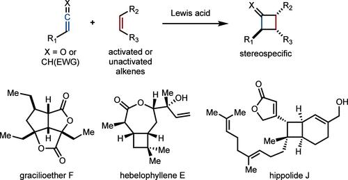 Lewis Acid-Promoted [2 + 2] Cycloadditions of Allenes and Ketenes: Versatile Methods for Natural Product Synthesis