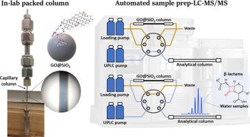 Analyzes of β-lactam antibiotics by direct injection of environmental water samples into a functionalized graphene oxide-silica packed capillary extraction column online coupled to liquid chromatography tandem mass spectrometry