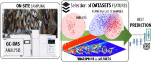 Guidelines to build PLS-DA chemometric classification models using a GC-IMS method: Dry-cured ham as a case of study