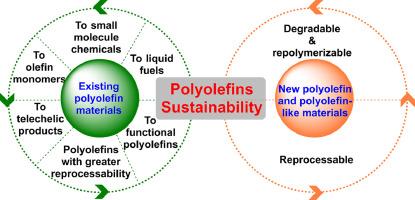 Sustainable developments in polyolefin chemistry: Progress, challenges, and outlook