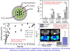 Multi-stimuli-responsive chitosan-functionalized magnetite/poly(ε-caprolactone) nanoparticles as theranostic platforms for combined tumor magnetic resonance imaging and chemotherapy