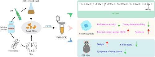 Extraction optimization and structural characterization of soluble dietary fiber in foxtail millet and its inhibitory activities on colon cancer