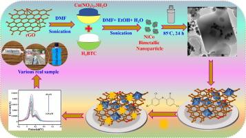 A redox accessible Cu-BTC metal organic framework-based nanocomposite for selective and sensitive electrochemical sensing of Triclosan in real sample