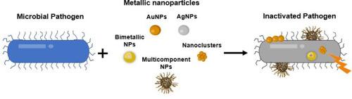 Gold and silver nanoparticles as tools to combat multidrug-resistant pathogens