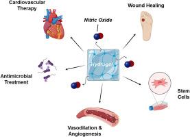 Advances in nitric oxide-releasing hydrogels for biomedical applications