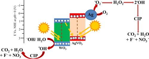 Highly efficient AgVO3/WO3 photocatalyst n-n heterojunction toward visible-light induced degradation antibiotic