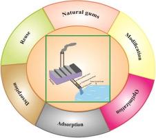 Biosorptive removal of organic dyes using natural gums-based materials: A comprehensive review