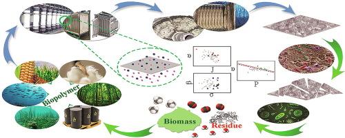 Bio-based nonporous membranes: Evolution and benchmarking review