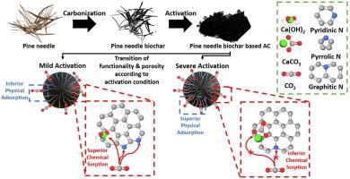 Unique CO2 adsorption of pine needle biochar-based activated carbons by induction of functionality transition