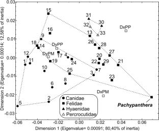 A new large pantherine and a sabre-toothed cat (Mammalia, Carnivora, Felidae) from the late Miocene hominoid-bearing Khorat sand pits, Nakhon Ratchasima Province, northeastern Thailand