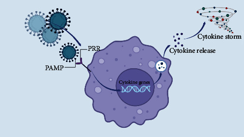 The Important Role of Interleukin-2 in COVID-19.