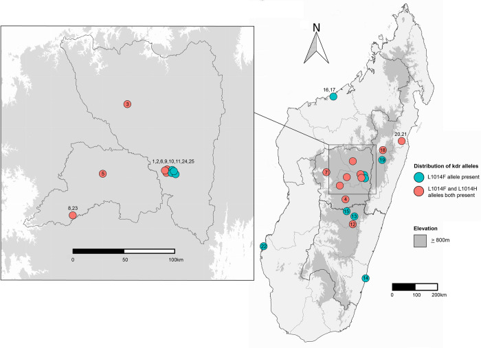 Knockdown resistance mutations are common and widely distributed in Xenopsylla cheopis fleas that transmit plague in Madagascar.