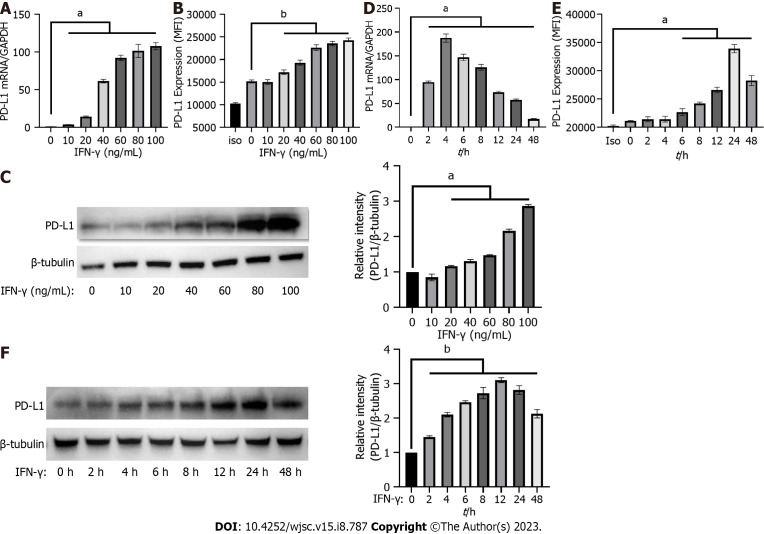 Interferon-gamma and tumor necrosis factor-alpha synergistically enhance the immunosuppressive capacity of human umbilical-cord-derived mesenchymal stem cells by increasing PD-L1 expression.