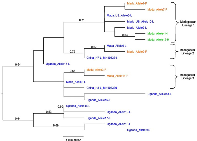 Knockdown resistance mutations are common and widely distributed in Xenopsylla cheopis fleas that transmit plague in Madagascar.