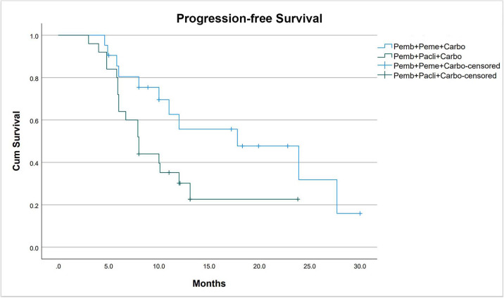 Treatment of Stage IV Non-Small Cell Lung Cancer with Pembrolizumab in Combination with Platinum-Based Doublet Chemotherapy in Vietnam.