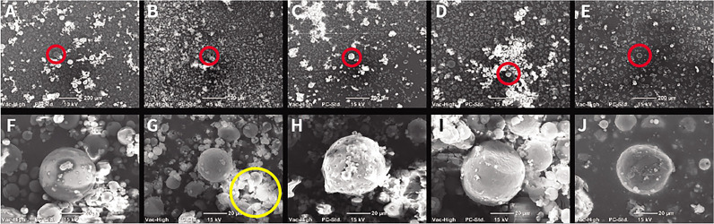 The mechanical properties of 3D printed denture base resin incorporating essential oil microcapsules.